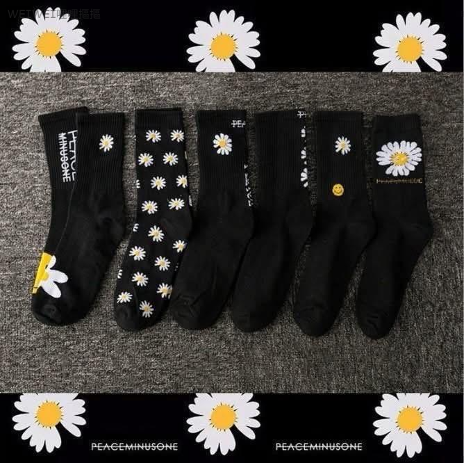 現貨＜6雙免運組＞韓系爆款ins風 小雛菊刺繡中筒襪組