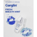 現貨＜2入免運組＞韓國GARGLIN 薄荷清新口腔噴霧15ML