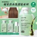 現貨＜免運＞限量特惠‼️韓國Medipeel蘋果香水洗護髮 大全套(洗髮+護髮素+護髮油各2入)
